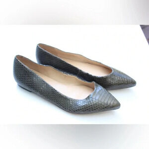 Talbots pointy toe flats